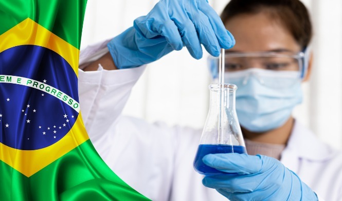 Imagem ilustrativa sobre Pesquisadores Brasileiros